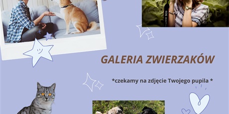 Powiększ grafikę: szkolna-galeria-zwierzakow-556865.jpg