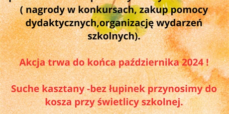 Powiększ grafikę: zbiorka-kasztanow-553234.jpg